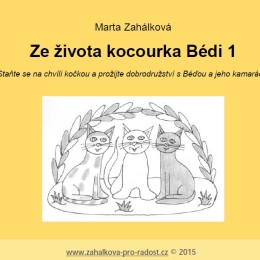 ABook-kniha obal3