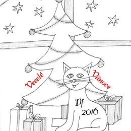 Vánoce 2015 Béďa