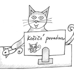 Kocici-poradna1