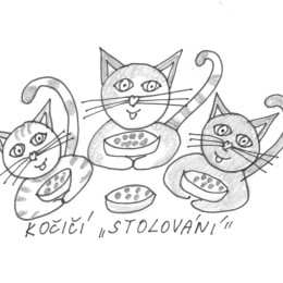 Kočičí stolování1