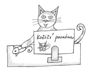 Kocici-poradna1